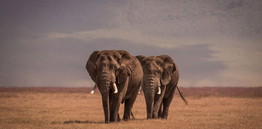 Serengeti National Park
