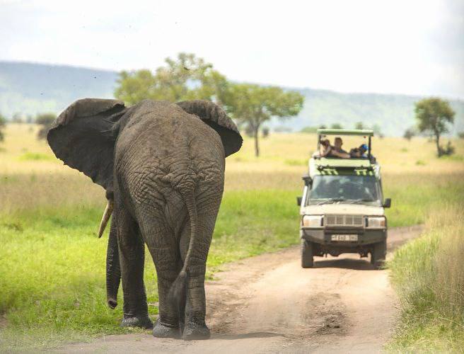Tanzania Budget Safari