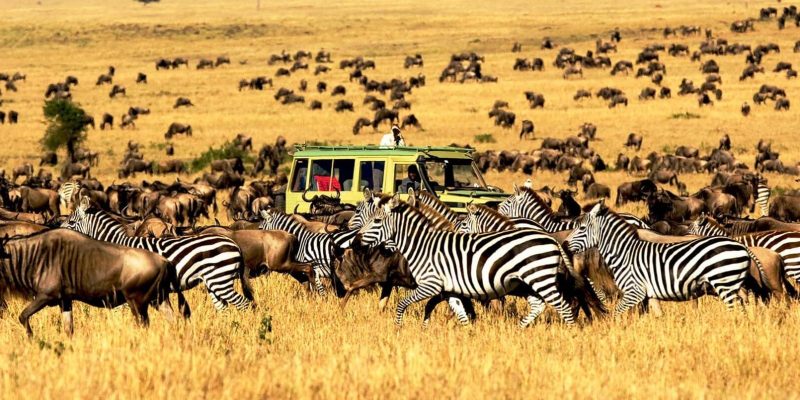 Best Time To Visit Tanzania