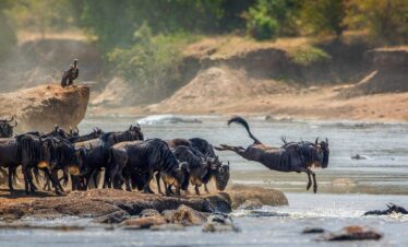 Serengeti National Park