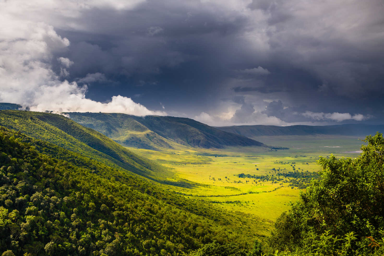 Ngorongoro crater