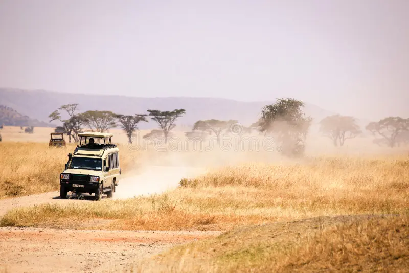 Affordable Tanzania Safari Quote Request