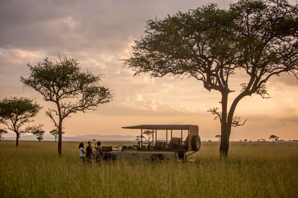 6 Days Tanzania Private Safari