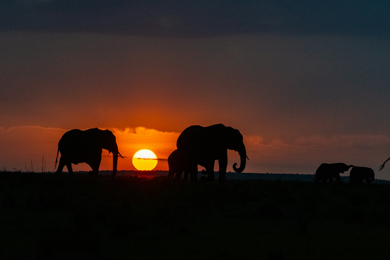 5 days tanzania midrange safari