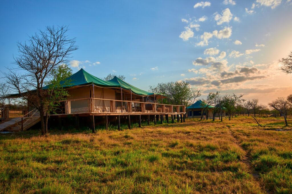 Tanzania Private Safari In 2027/2028