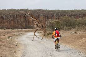 Bicycle ride from Chui Lodge to Hells Gate National Park
