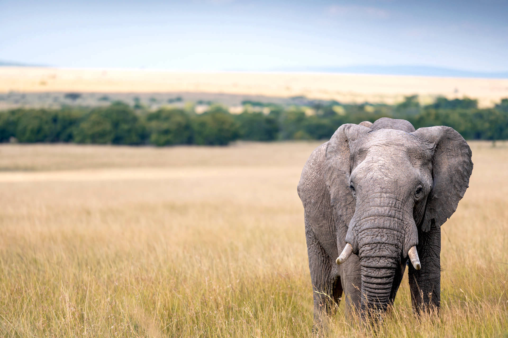 Akagera National Park