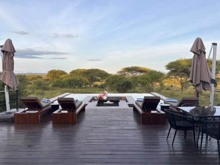 tarangire elephant springs 2