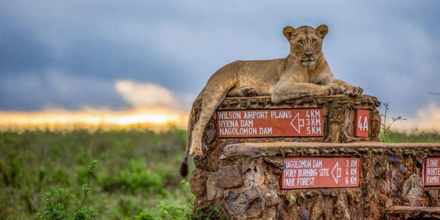 Kosher Safari Meals Tanzania