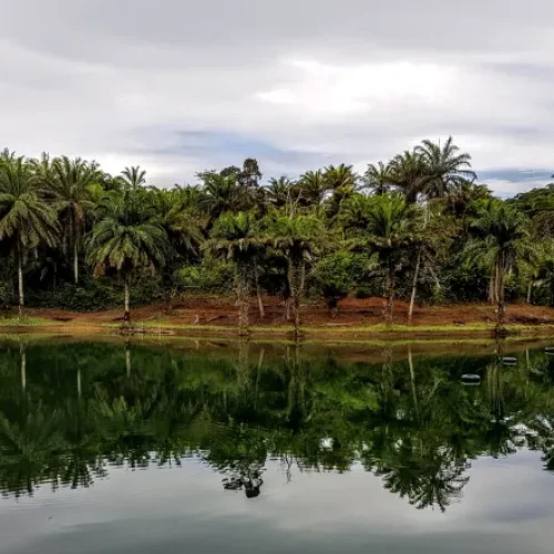 13 days east coast safari