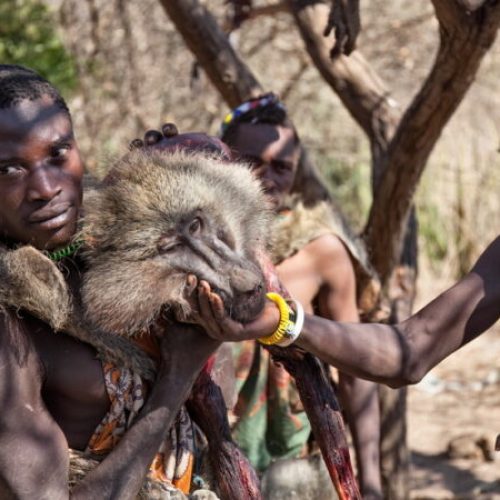 hadzabe tour
