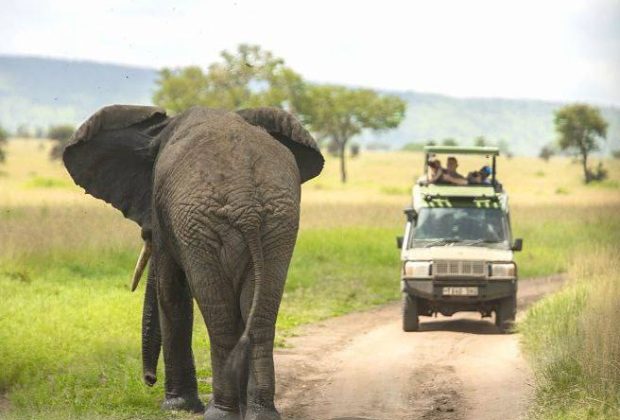 Tanzania Budget Safari