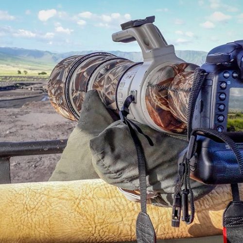 10 Days Tanzania Last Minute Safari