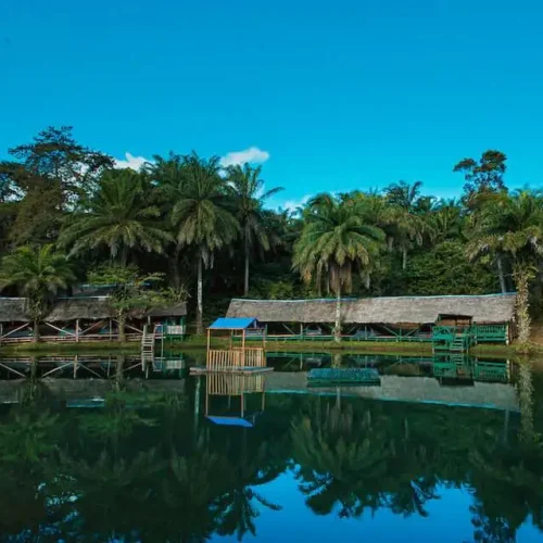 image00004-1-e1650271538682