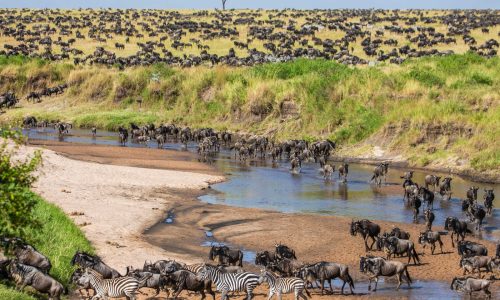 Tanzania Safari with Hindi-Speaking Guide