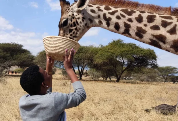 Serval Wildlife Sanctuary Tour